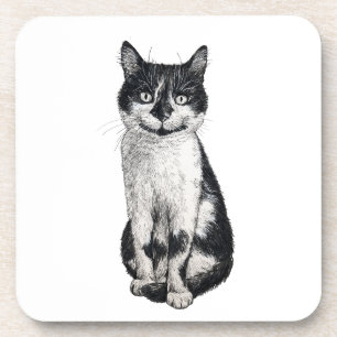 Ogie the cat coaster