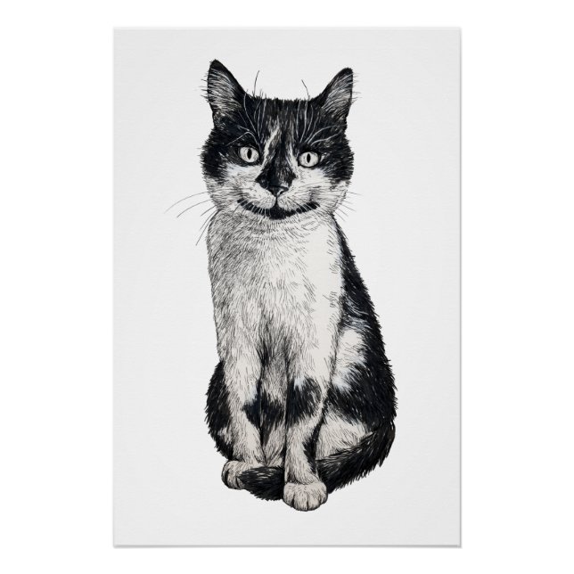 Ogie the cat poster (Front)