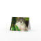 Oh, Bah Humbug Cat Card