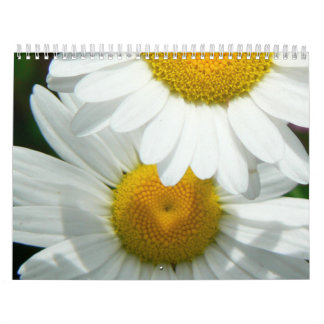 Oh calendrier mural de marguerite