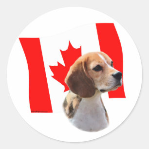 Oh Canada....and Beagles. Classic Round Sticker