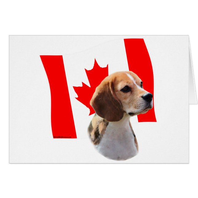 Oh Canada...et Beagle. (Devant horizontal)
