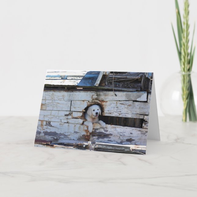 Oh carte de copain (Devant)