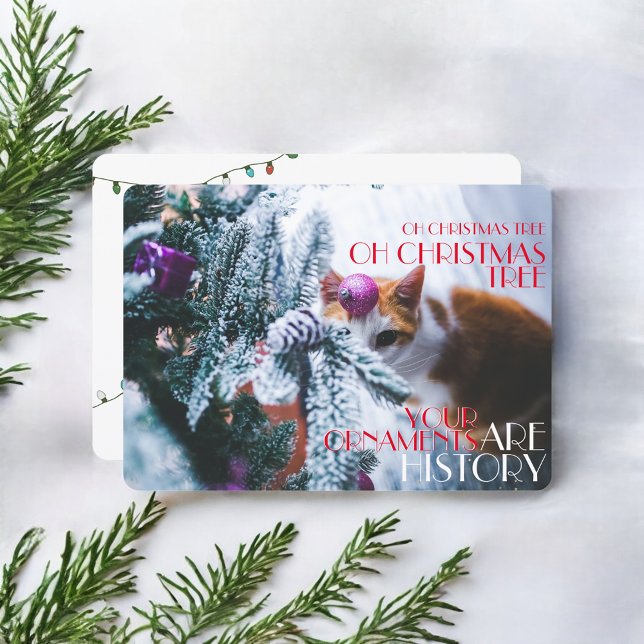 Oh Christmas Tree Your Ornaments Are History Cat Holiday Card (Creator Uploaded)