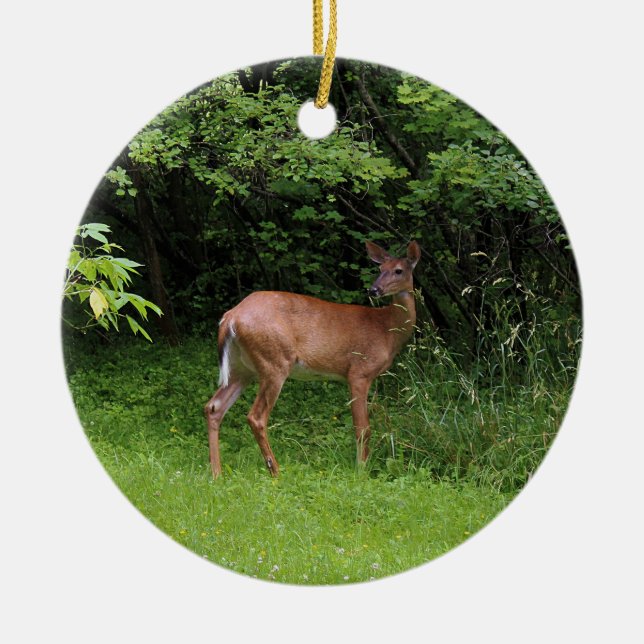 Oh Deer! Ceramic Ornament (Front)