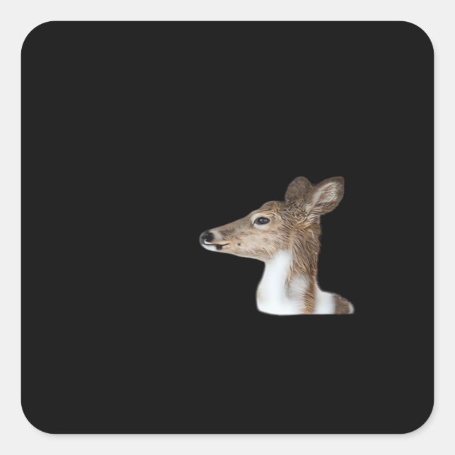 Oh Deer Minimal Modern Design Square Sticker (Front)