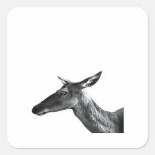 Oh Deer Modern Aesthetic Vibe  Square Sticker