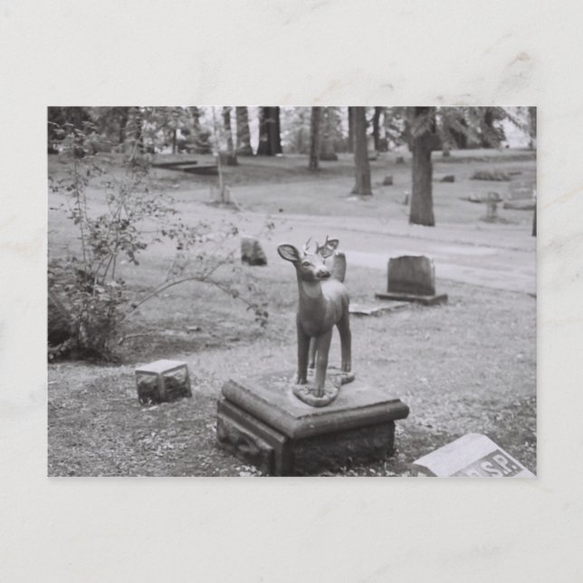 Oh Deer Postcard (Front)