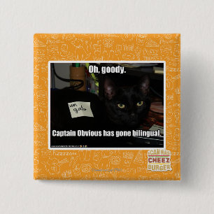 Oh, goody. 2 inch square button