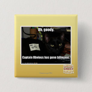 Oh, goody. 2 inch square button