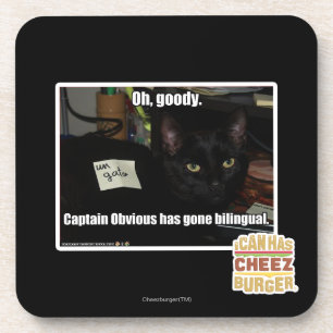 Oh, goody. coaster