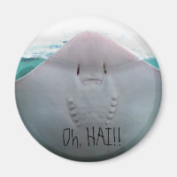 Oh, HAI ! Aimant