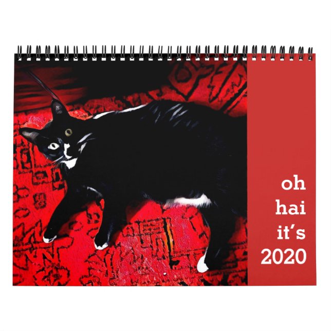 Oh Hai Cat Calendar (Cover)