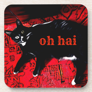 Oh Hai coasters with cork back - set of 6