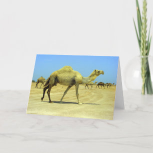 Oh happy day - camels in the desert card