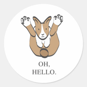 OH, HELLO. CLASSIC ROUND STICKER