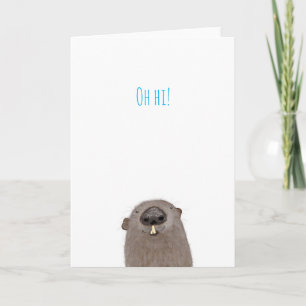 'Oh hi' groundhog greetings card