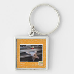 oh hi i upgraded your RAM Keychain