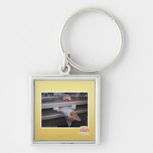 oh hi i upgraded your RAM Keychain