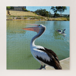 Oh Im A Happy Pelican Tra Lah, jigsaw puzzle