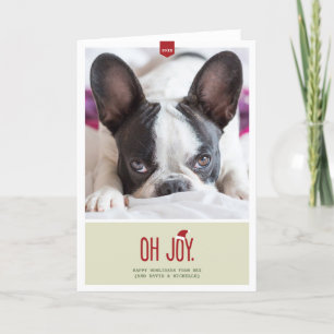 Oh Joy   Folded Holiday Photo Card