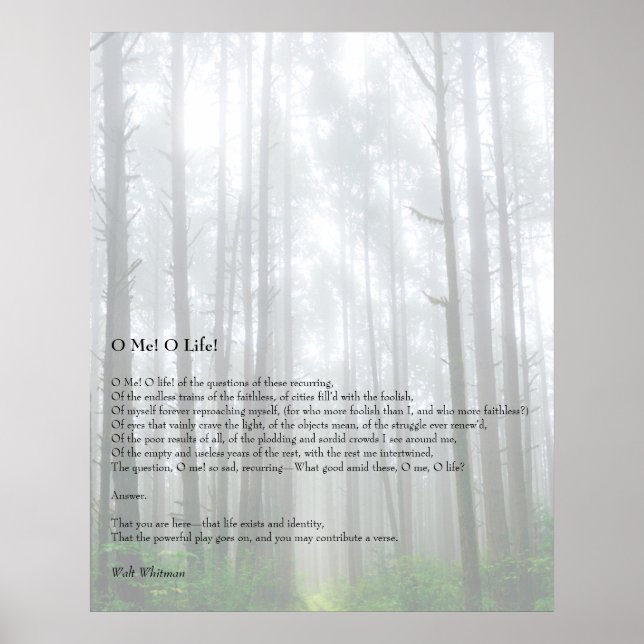 Oh Me! Oh Life! Walt Whitman Poem Wooded Path 1 Poster (Front)
