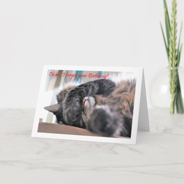 Oh no, I forgot your Birthday! Cat Happy beltaed Card (Front)