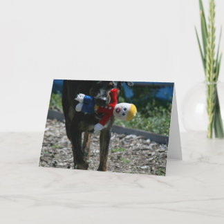 Oh-No Mr. Bill Card