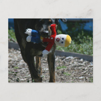 Oh-No Mr. Bill Postcard