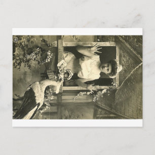 Oh no! The infernal stork! Postcard