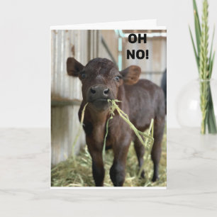 OH NO...YOU ARE **40** HAPPY BIRTHDAY CARD