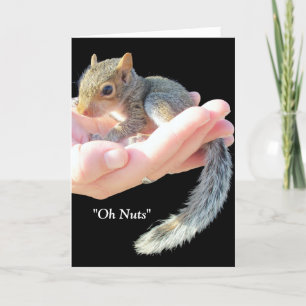 Oh Nuts / Get Well Soon Card