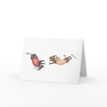 Oh quel cirque! artistes de trapèze buffles carte