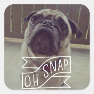 Oh Snap! Sticker