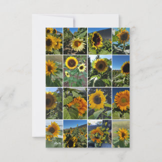 Oh So Many Sunflowers Collage Card