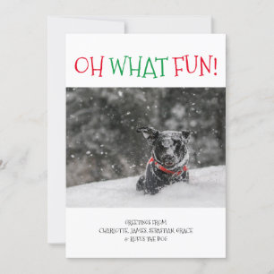 Oh What Fun Personalized Christmas Holiday Card