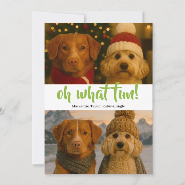 Oh What Fun Photo Christmas Personalized Holiday Card (Front)