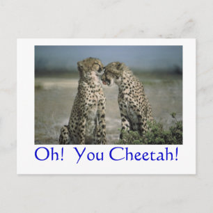 Oh! You Cheetah! Postcard