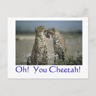Oh! You Cheetah! Postcard