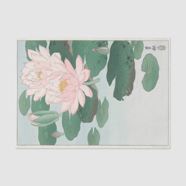 Ohara Koson | Water Lily (1920 - 1930) Tissue Paper (Front)