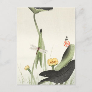 ohara koson's Japanese painting postcard,小原古邨の日本画 Postcard