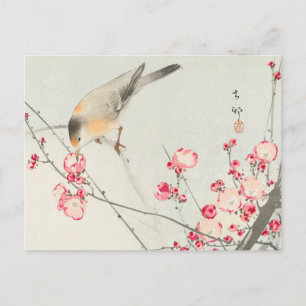 ohara koson's Japanese painting postcard,小原古邨の日本画 Postcard