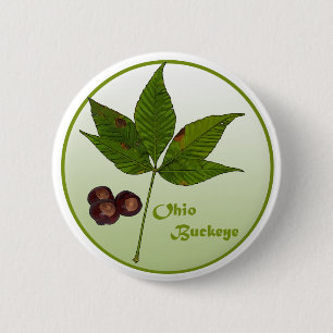 Ohio Buckeye Tree 2 Inch Round Button