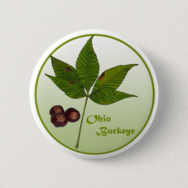 Ohio Buckeye Tree 2 Inch Round Button (Front)