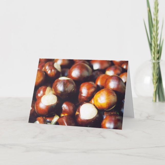 Ohio Buckeyes Card (Front)