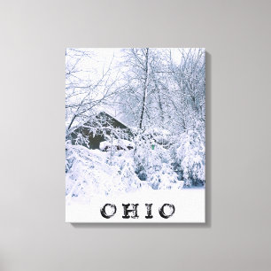 OHIO IN WINTER 2020 CANVAS PRINT