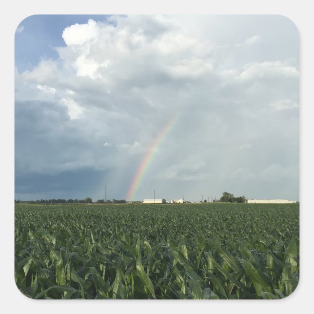 Ohio Rainbow Over Cornfield Square Sticker (Front)