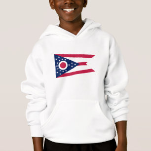 Ohio State Flag