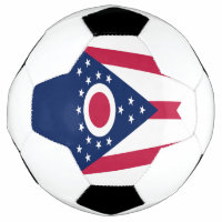 Ohio State Flag