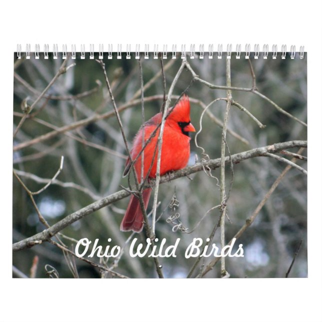 Ohio Wild Birds Calendar (Cover)